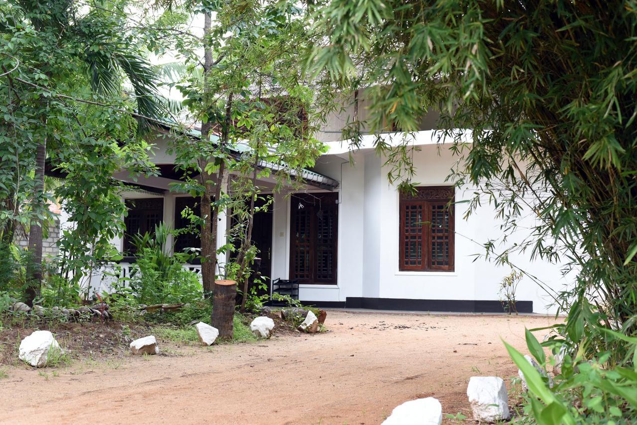Sun And Green Eco Lodge - Dambulla Ngoại thất bức ảnh