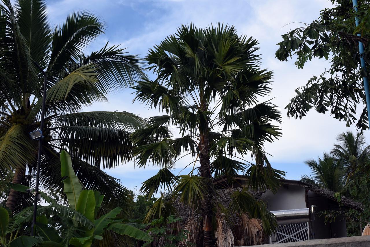 Sun And Green Eco Lodge - Dambulla Ngoại thất bức ảnh