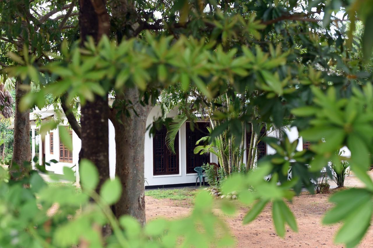 Sun And Green Eco Lodge - Dambulla Ngoại thất bức ảnh