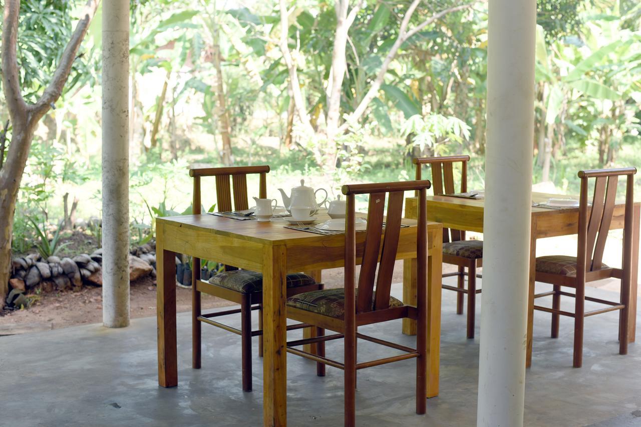 Sun And Green Eco Lodge - Dambulla Ngoại thất bức ảnh