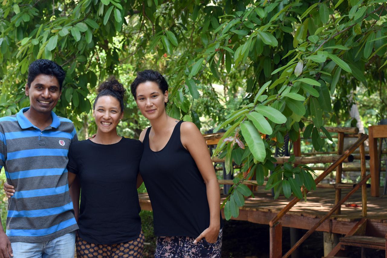 Sun And Green Eco Lodge - Dambulla Ngoại thất bức ảnh
