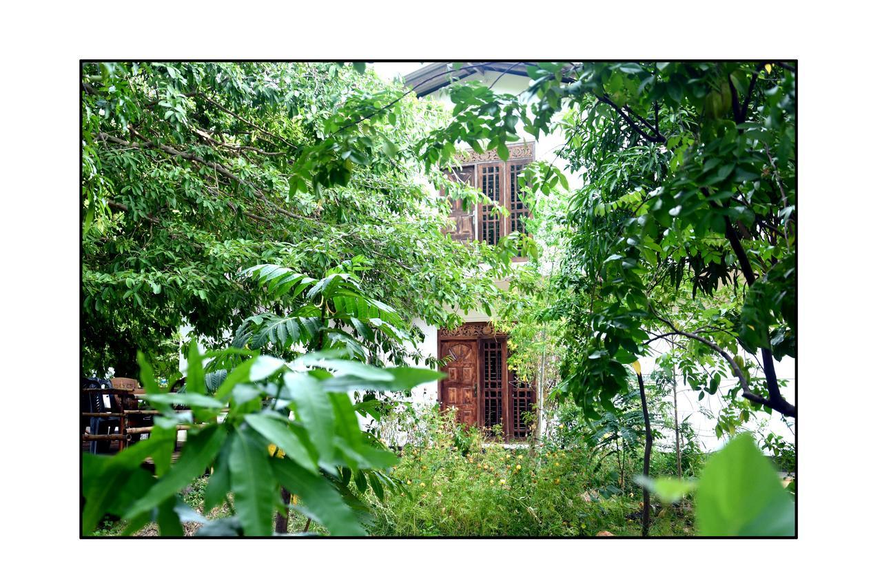 Sun And Green Eco Lodge - Dambulla Ngoại thất bức ảnh