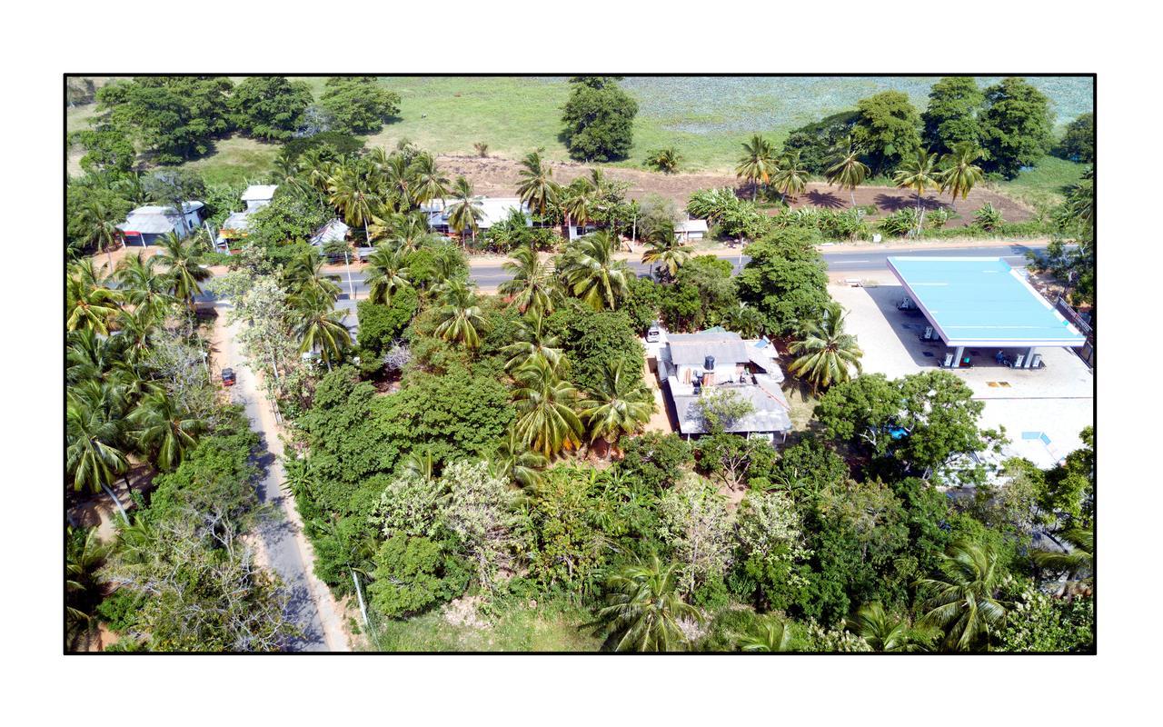 Sun And Green Eco Lodge - Dambulla Ngoại thất bức ảnh