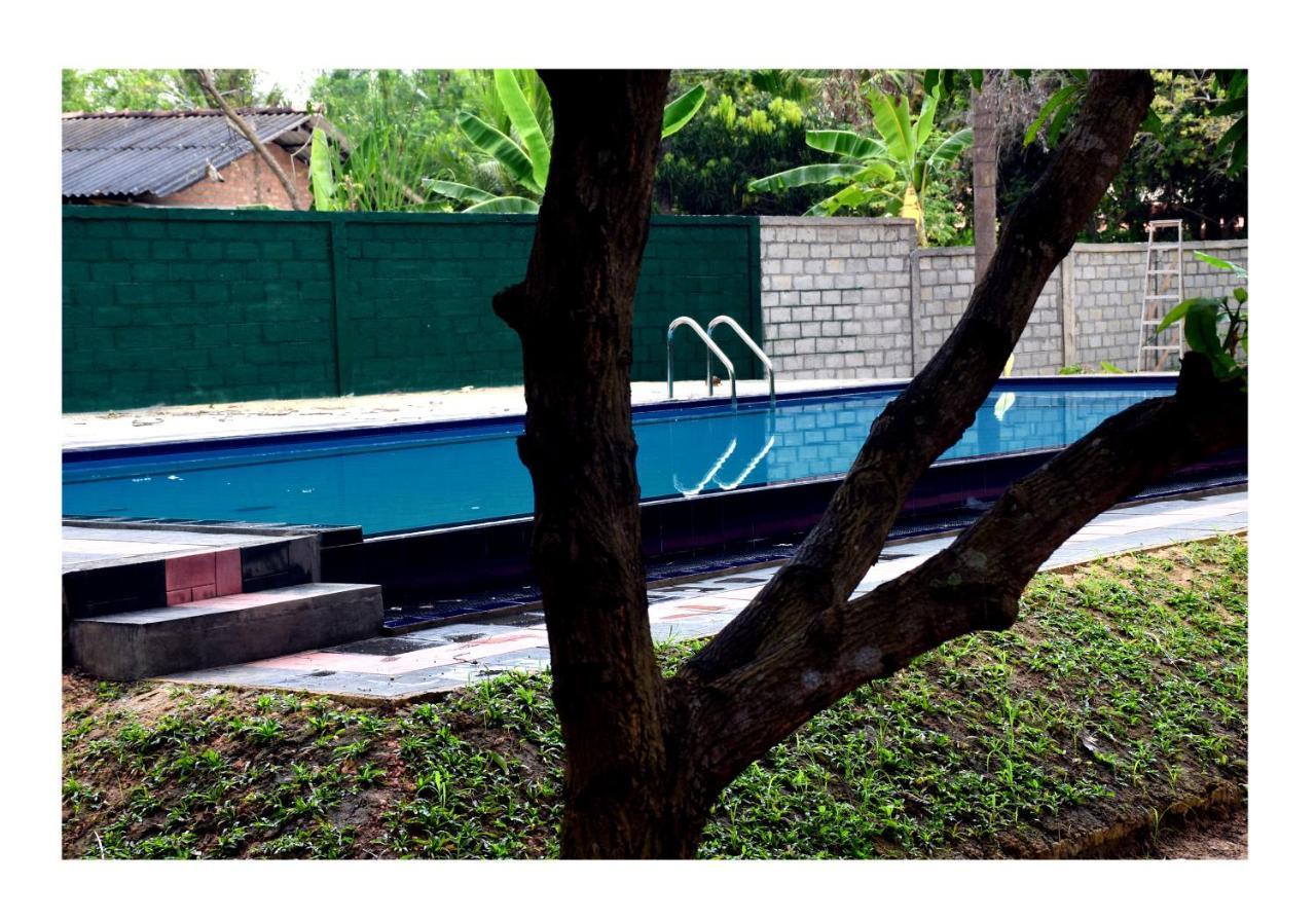 Sun And Green Eco Lodge - Dambulla Ngoại thất bức ảnh