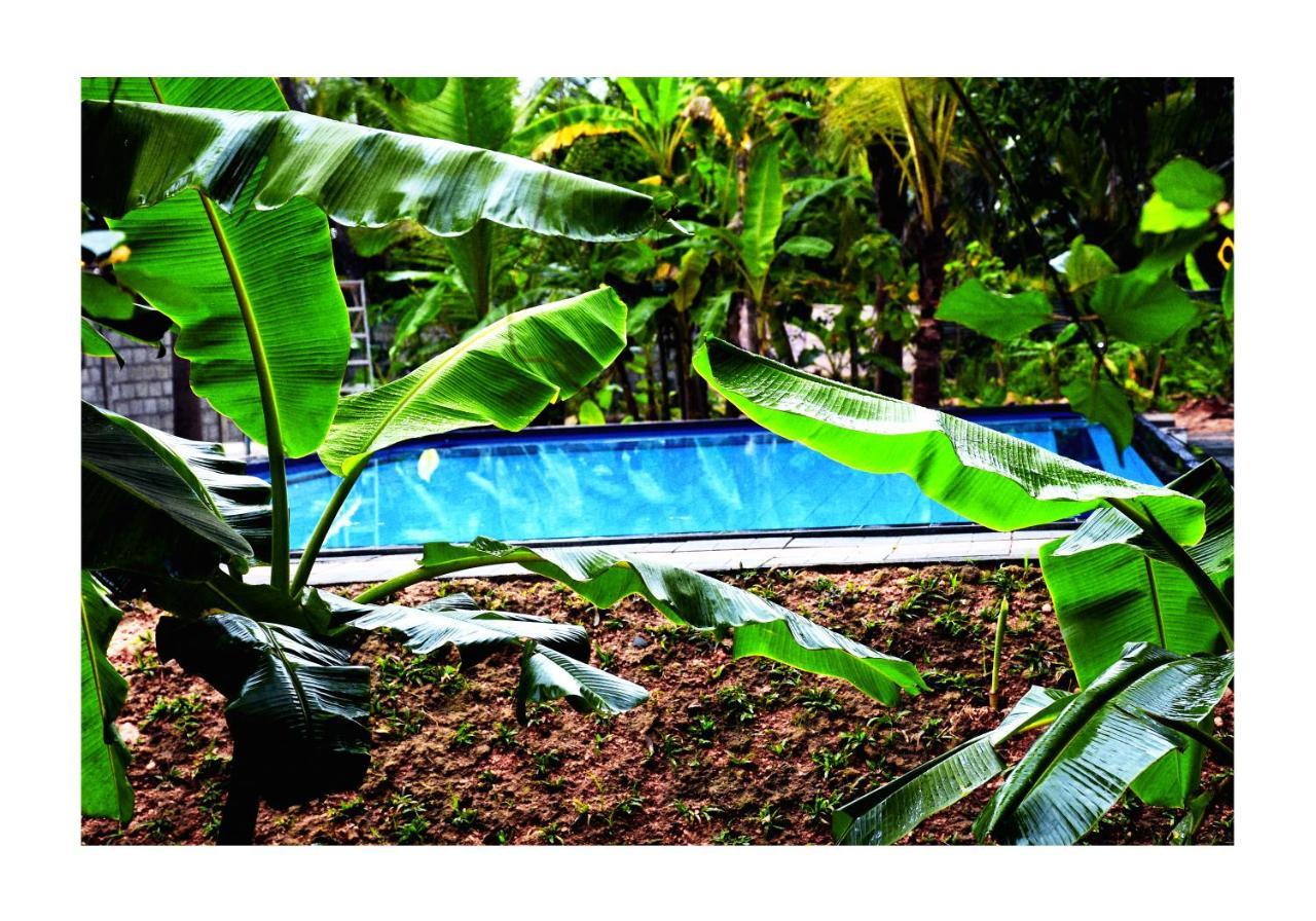 Sun And Green Eco Lodge - Dambulla Ngoại thất bức ảnh