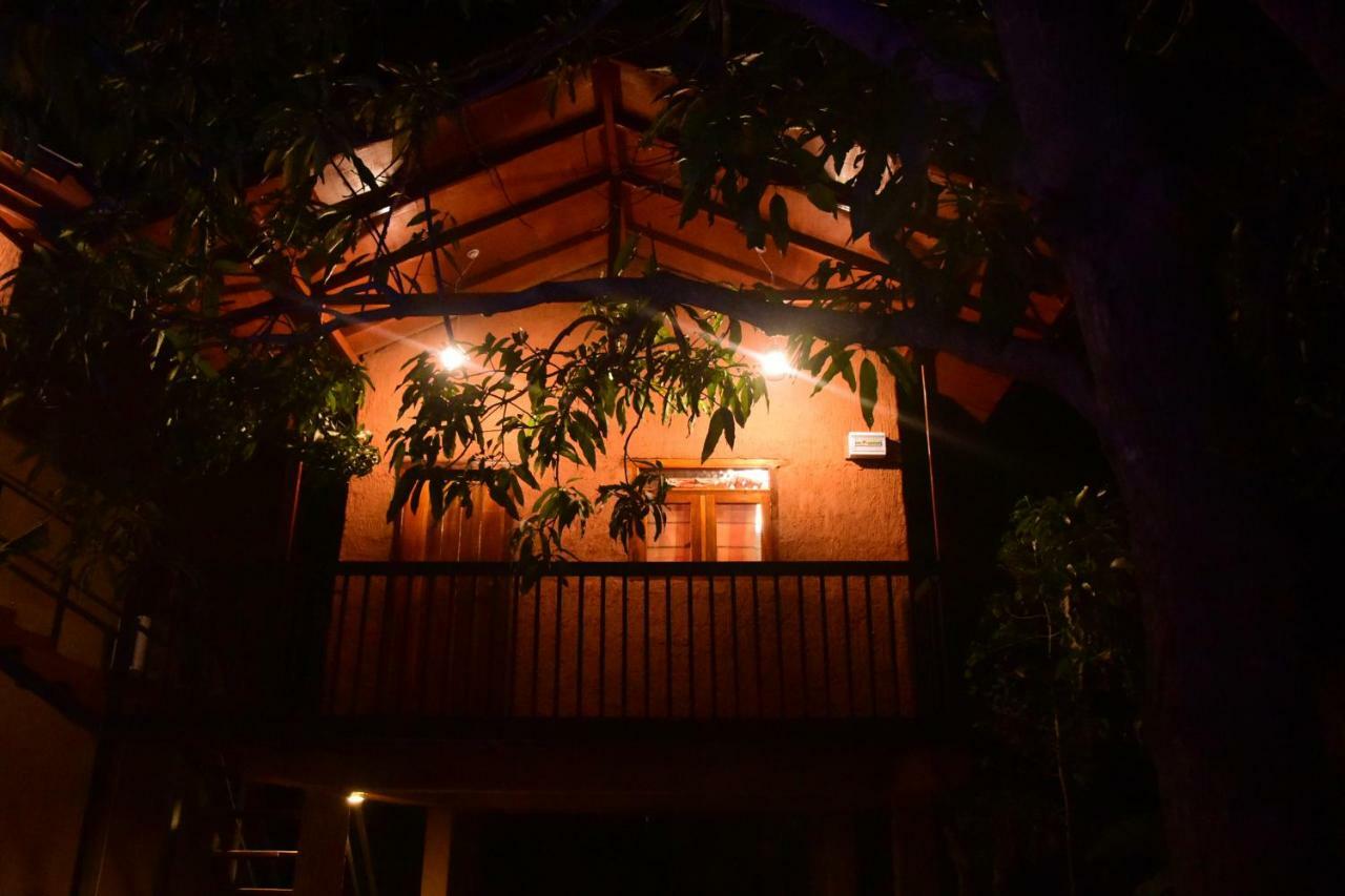 Sun And Green Eco Lodge - Dambulla Ngoại thất bức ảnh